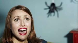 Почему нельзя убивать пауков 